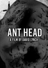 蝼蚁头 Ant Head