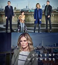 无声的证言 第二十一季 Silent Witness Season 21