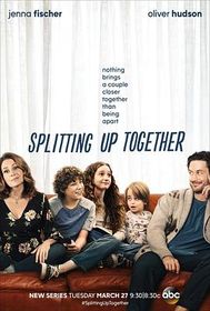 分久再合 第一季 Splitting Up Together Season 1