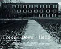 这儿的树 Trees Down Here