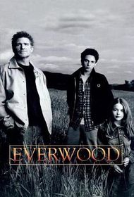 雪山镇  第二季 Everwood Season 2