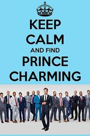 寻找白马王子 第一季 Finding Prince Charming Season 1