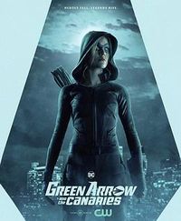 绿箭侠与金丝雀 Green Arrow and the Canaries